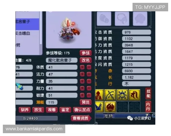 百家乐路单规则详解帮助玩家提升游戏策略与胜率的实用指南